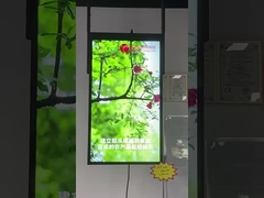 επίδειξη παραθύρων